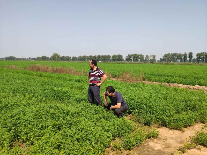 中誠草業(yè)主題教育照片1 中誠草業(yè)主題教育照片1